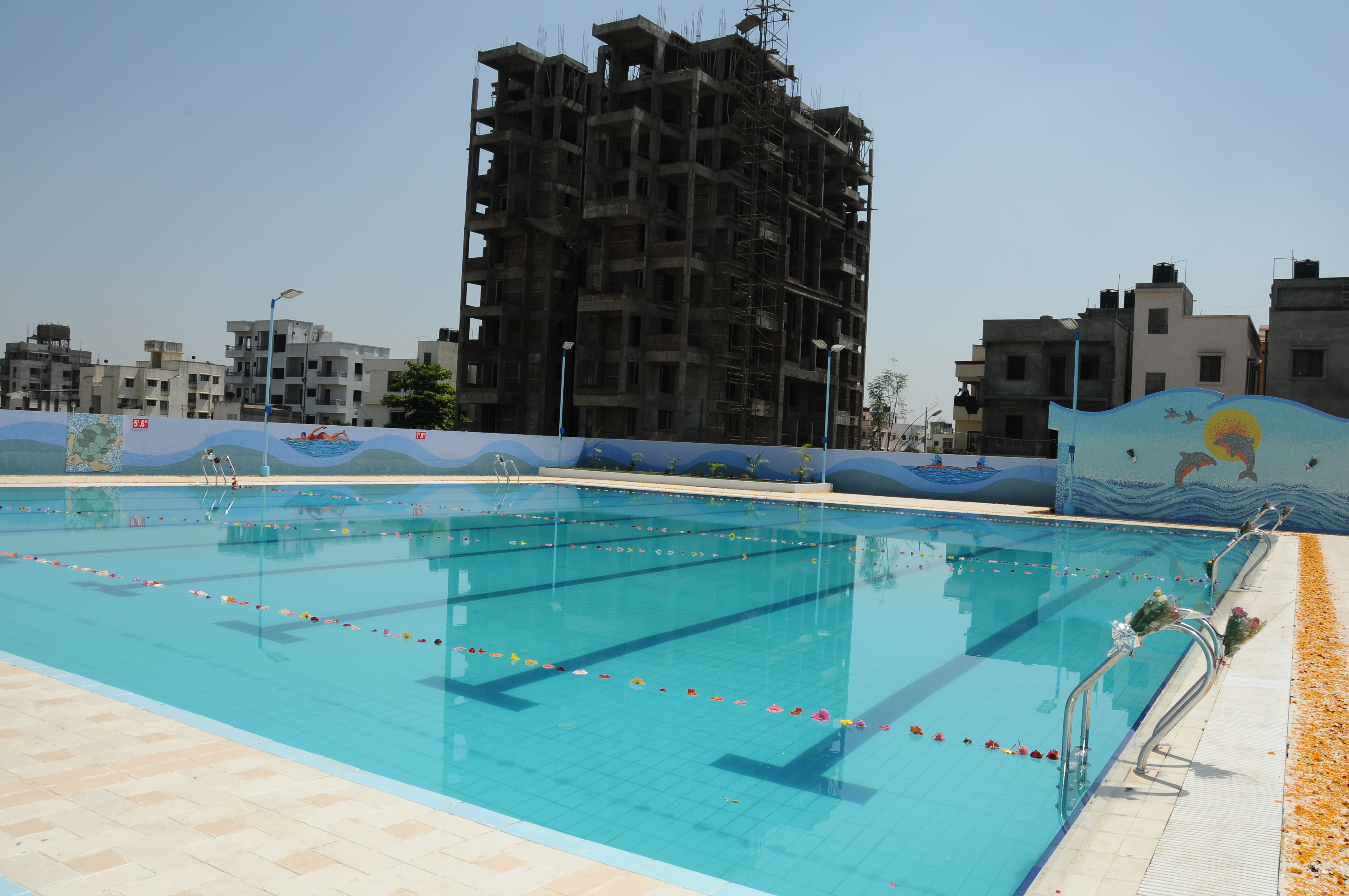 Commercial swimming pool design